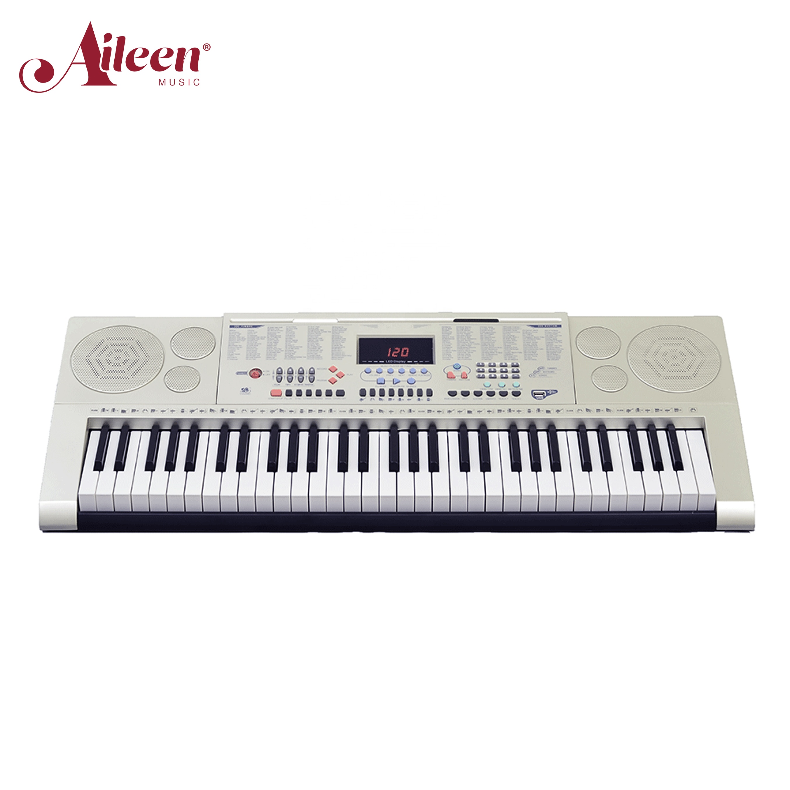 AileenMusic, 61 клавиша, стиль пианино с USB-проигрывателем, электрическая музыкальная клавиатура (MK61823)