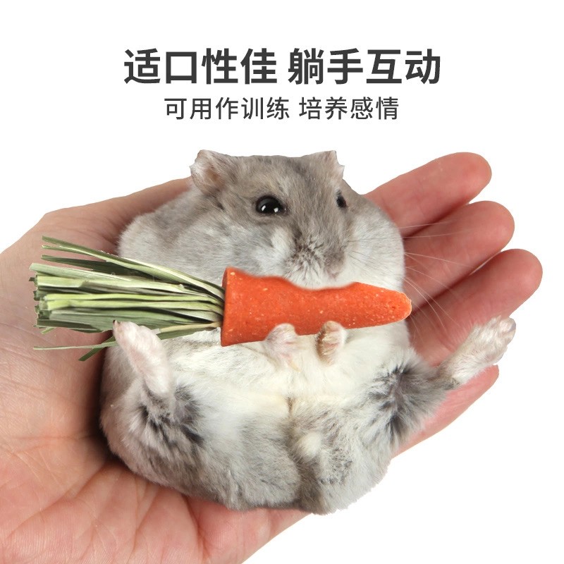 Hamster Mini Chewing Carrot Baby Carrot Molar Cake Golden Bear Bunny Snacks