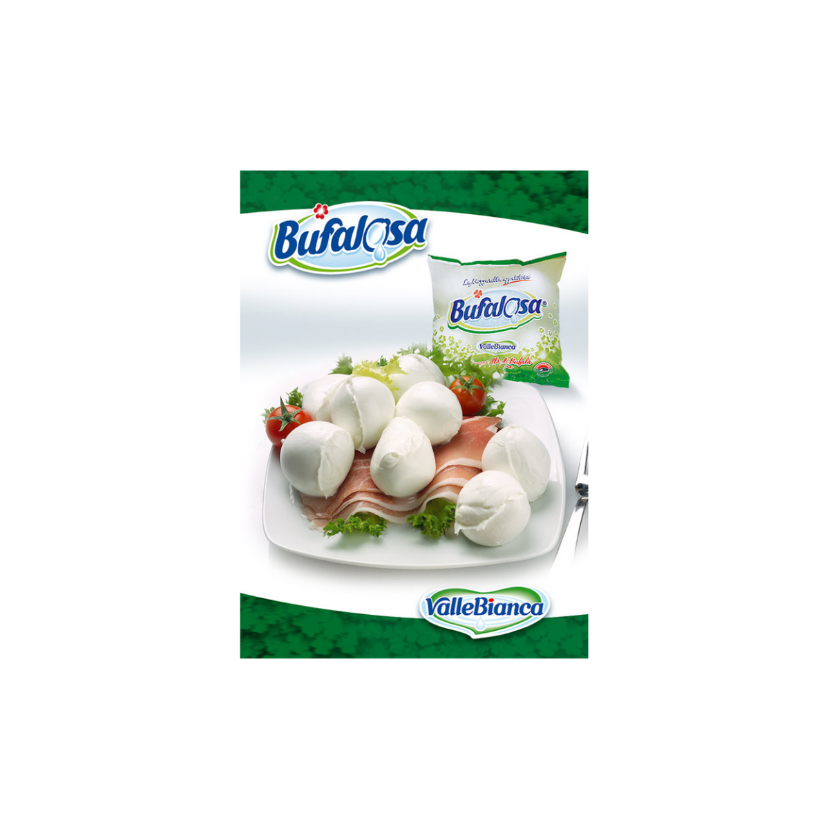 Made In Italy Dairy Products White Color Health And Tasty Mozzarella Cheese For Hotel Restaurant Cafe