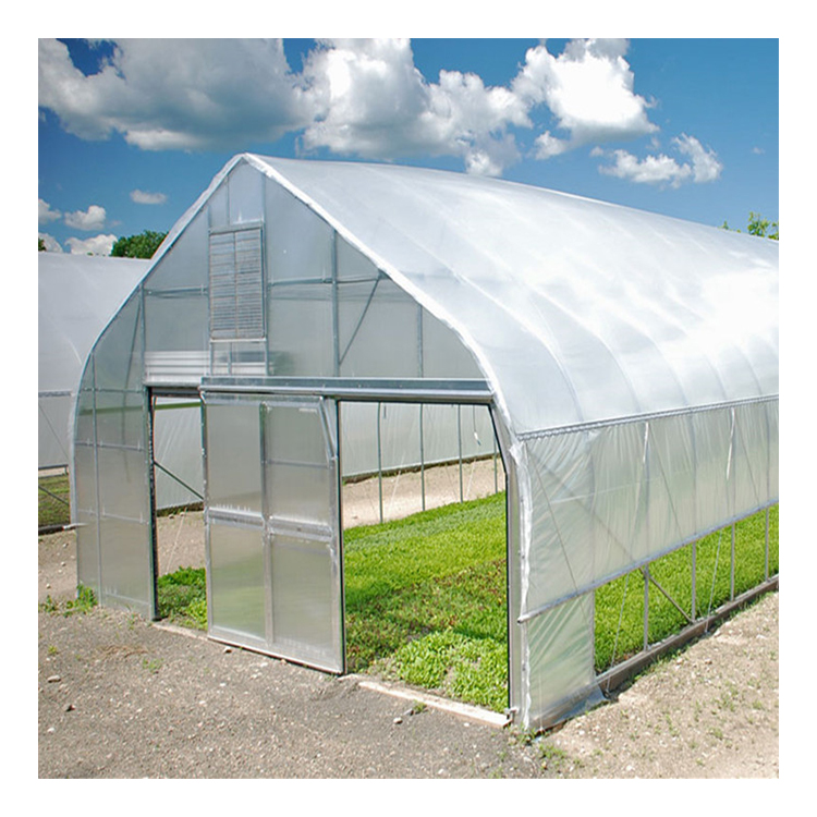 Sell Well New Type Large Size Galvanized Steel Frame Tunnel Poly Film Agricultural Green Houses
