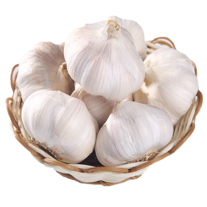 Vegetables fresh white garlic good quality garlic