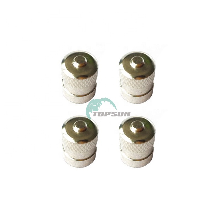 Low MOQ valve ccaps car dust prevent tube valve ccap CA4