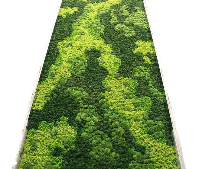 Hfloral Customized Perfect Home Office background wall Accessories Decoration Home Decor Reindeer Moss panel Wall Preserved moss