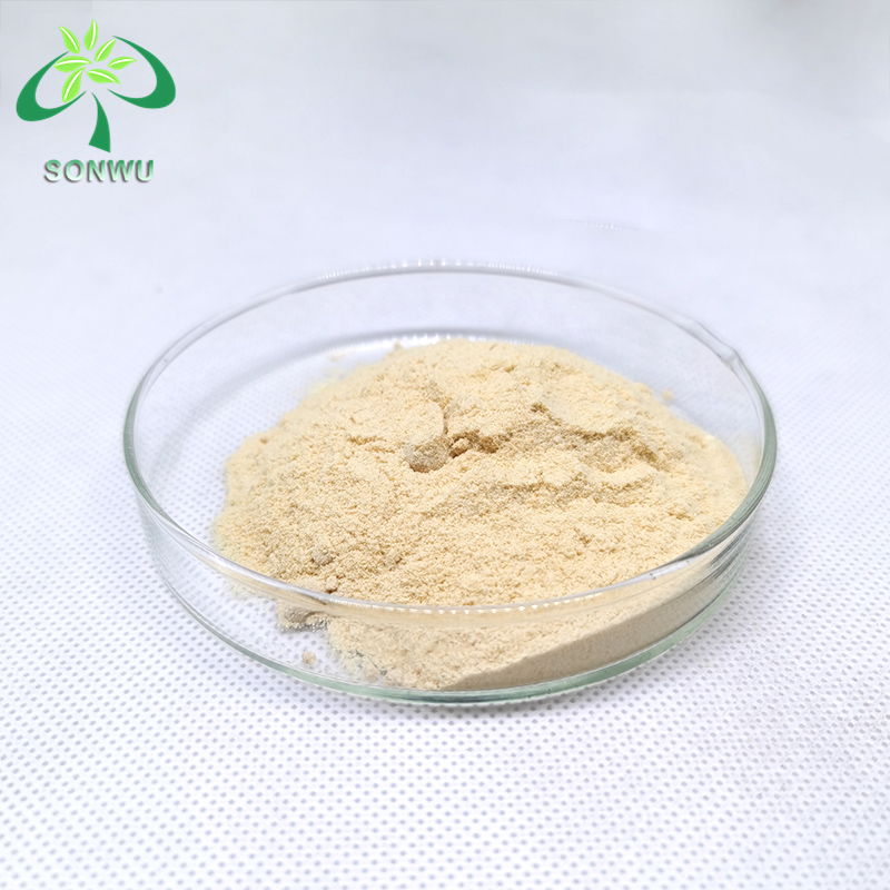 Sonwu supply Capsule garlic extract powder 1% allicin