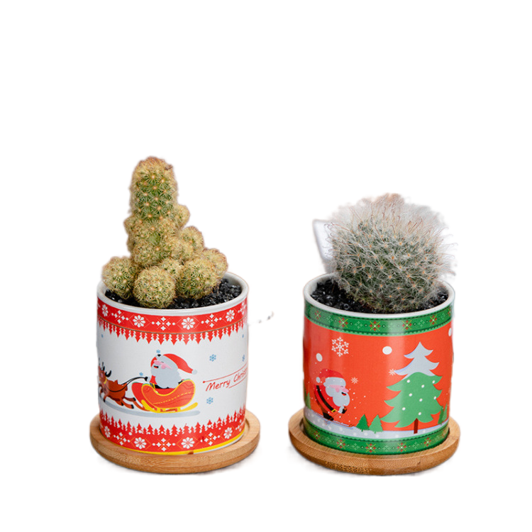 Wholesale ceramic flowerpot Christmas decorations