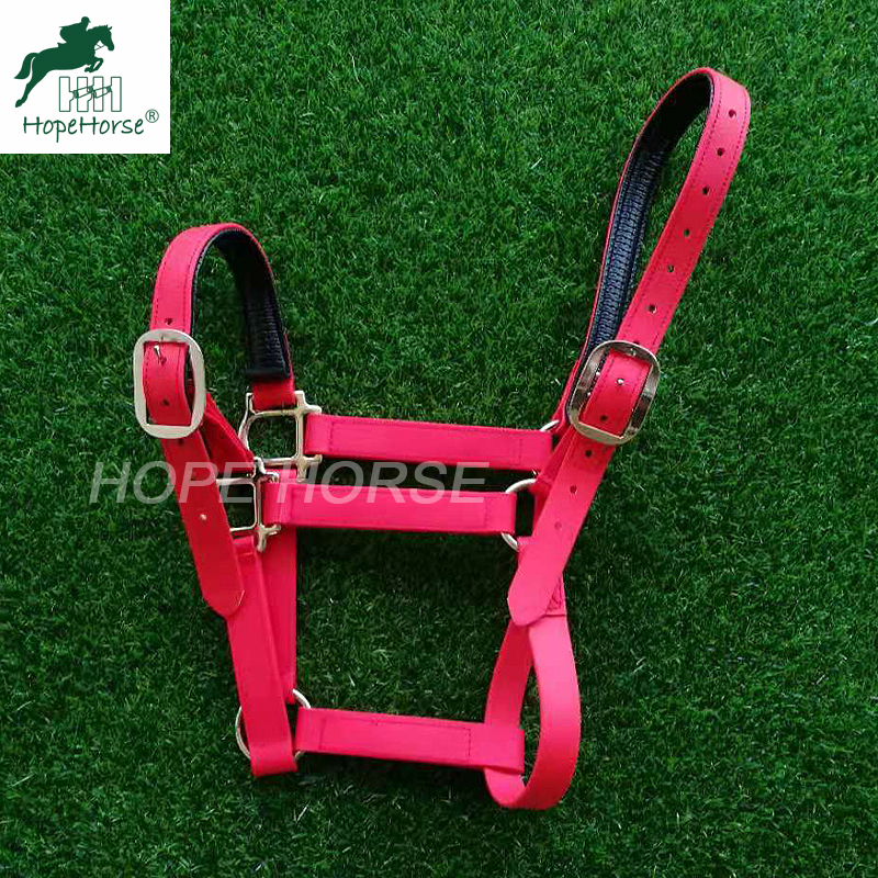 Waterproof Equestrian products Reinforced Stitch Horse accessories pvc horse Halter
