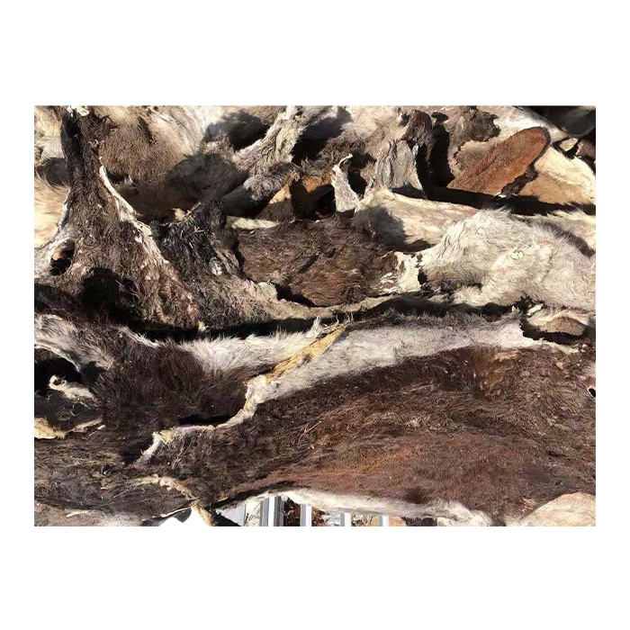 Treding hot products Good price High quality dry salted cow hides donkey and wet salted cow hides