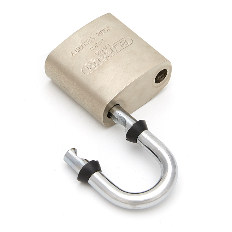 LS32 40 мм Blossom lock Прямая поставка с фабрики Замочная прочная Скоба навесные замки и ключи железные навесные замки