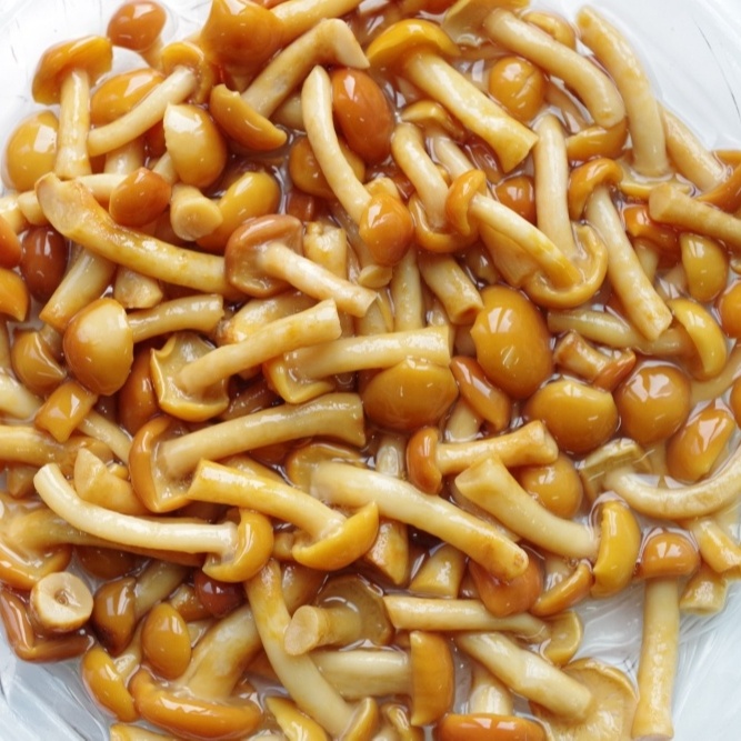 Китайский завод OEM, консервированные грибы nameko, новый дистрибьютор урожая