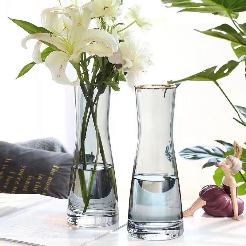 TF Modern ins Creative glass in vase glass water nourishes flower vase bottle