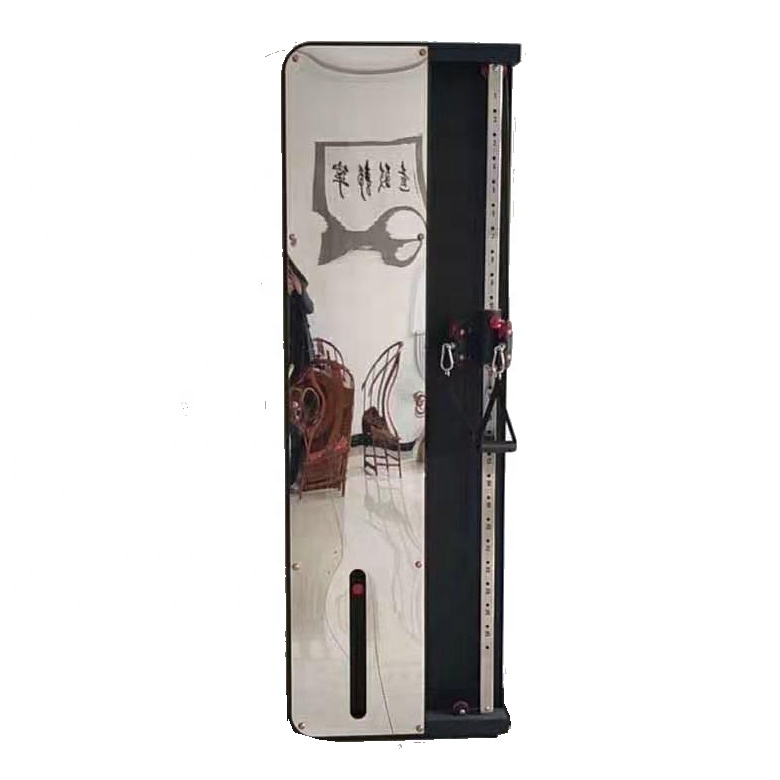 Certificated Gym Equipment Wall Mounted Functional Trainer with 80KG Stack
