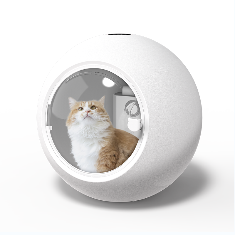 2021 Hot Sale Automatic For Household Dog Cat Shower Water Proof Pet Dryer Box