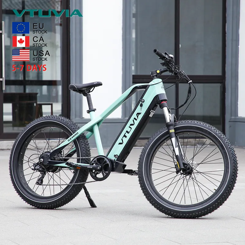 USA EU Warehouse Stock 1000w 52v 21Ah Dual Battery Fat Tire Hub Motor Electric Mountain Hybrid Bike City Bicycle
