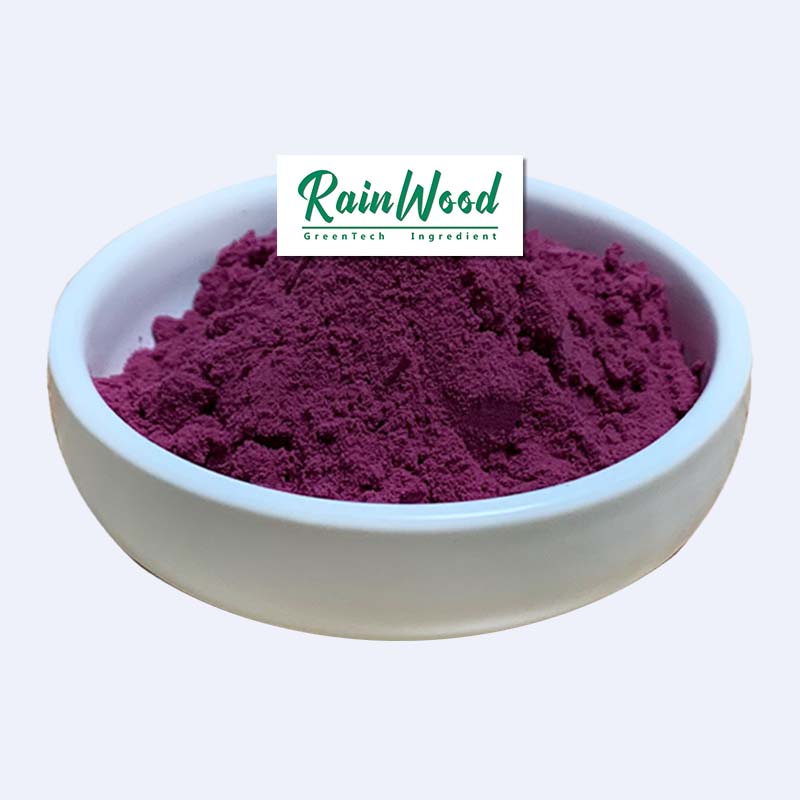 Поставка Rainwood, Замороженный Порошок из ягод асаи, бесплатный образец, фруктовый порошок из ягод асаи, органический порошок из 100% натуральных ягод Асаи