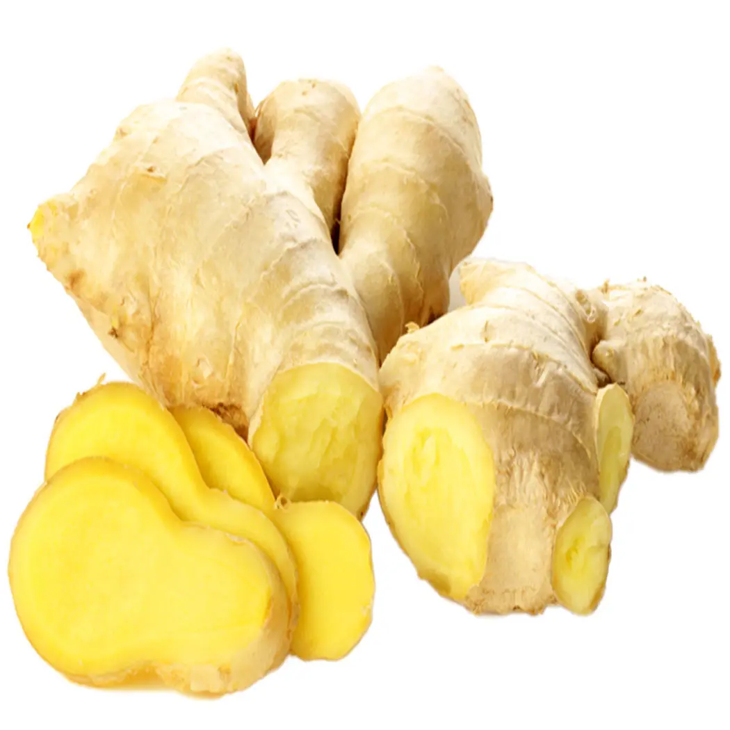 New products  of fresh ginger from china Ready to Ship