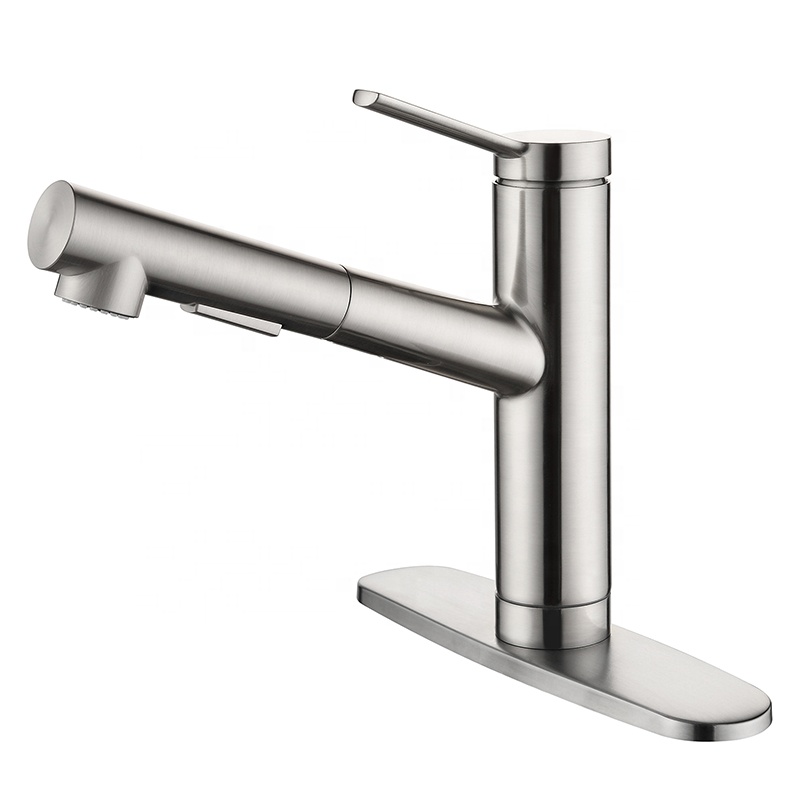 Single Lever Pull-Out Extendable Flex Hose Kitchen Faucet Fitting Brushed Stainless Steel Mixer Tap Sink Faucet