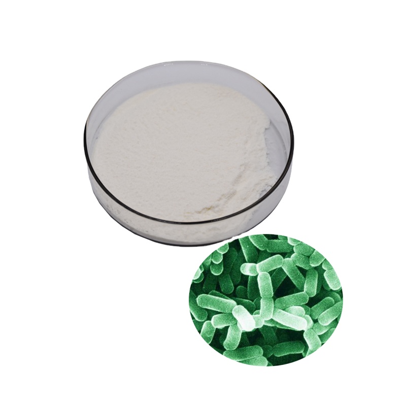 Pyson Bulk Raw Prebiotics and Probiotics Lactobacillus Gasseri Freeze Dried Probiotics Powder 280 Billion CFU/g