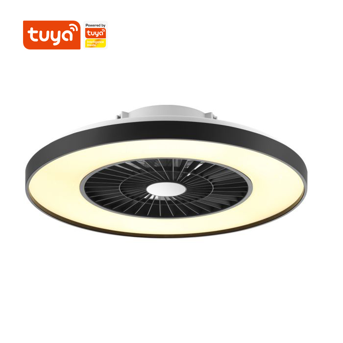 Un ventilateur de plafond Led avec telecommande et une bonne decoration