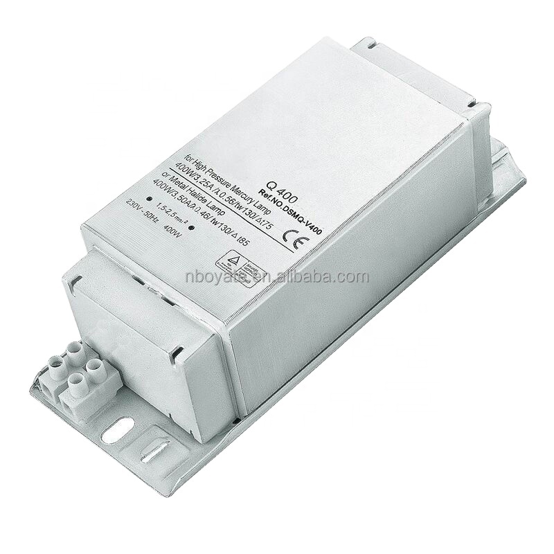 Traditional magnetic ballast for MH/HPS 250w 400w 220v 240v 50hz and 60hz factory direct sales