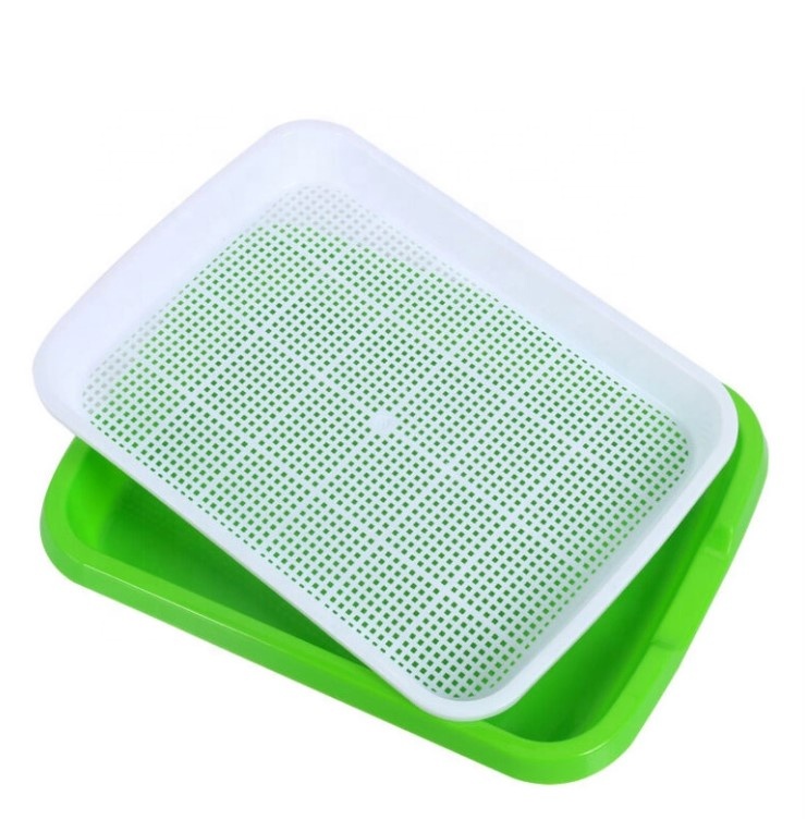 Bean Sprouts planting nursery seedling tray for vegetable cheapest cultivation Hydroponics Seed