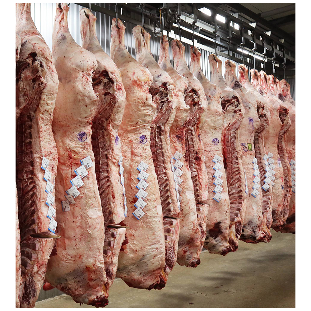 Японский вагю A4-A5 замороженных продуктов корова мяса говядины для оптовой продажи