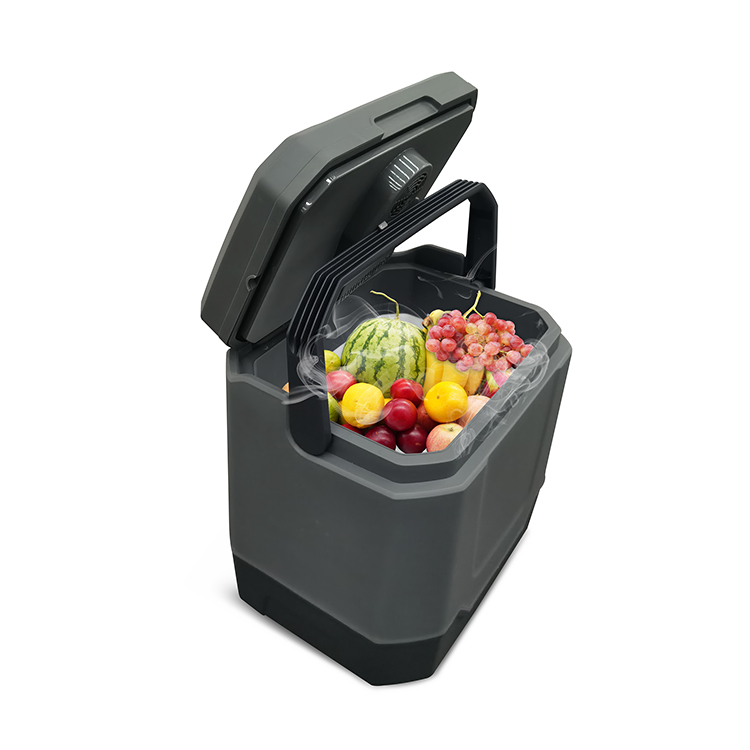 2021 new design 33L car cooler box 12V portable mini fridge cooler with blue speaker