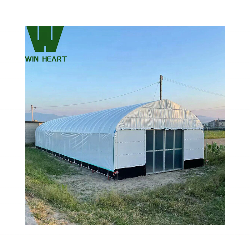 Soilless culture and high quality green house on the fram