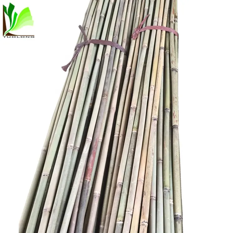Bamboo Cane Prices Rattan Bamboo Cane