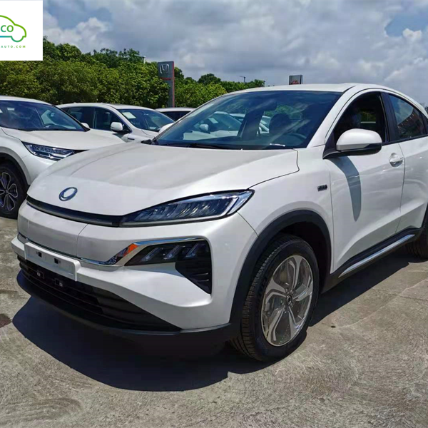 AECO бренд Suv электромобиль автоматический/электромобиль Suv для продвижения
