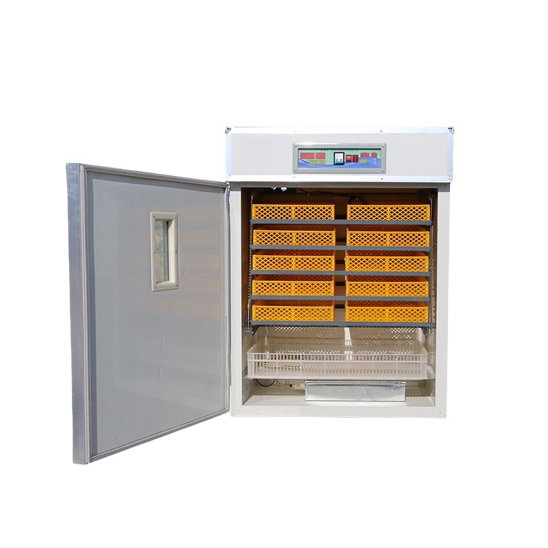 solar egg incubators and hatcher macaw eggs hatchery incubadora de huevos