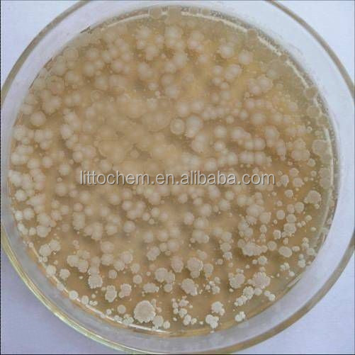 Заводская цена, Bacillus Subtilis