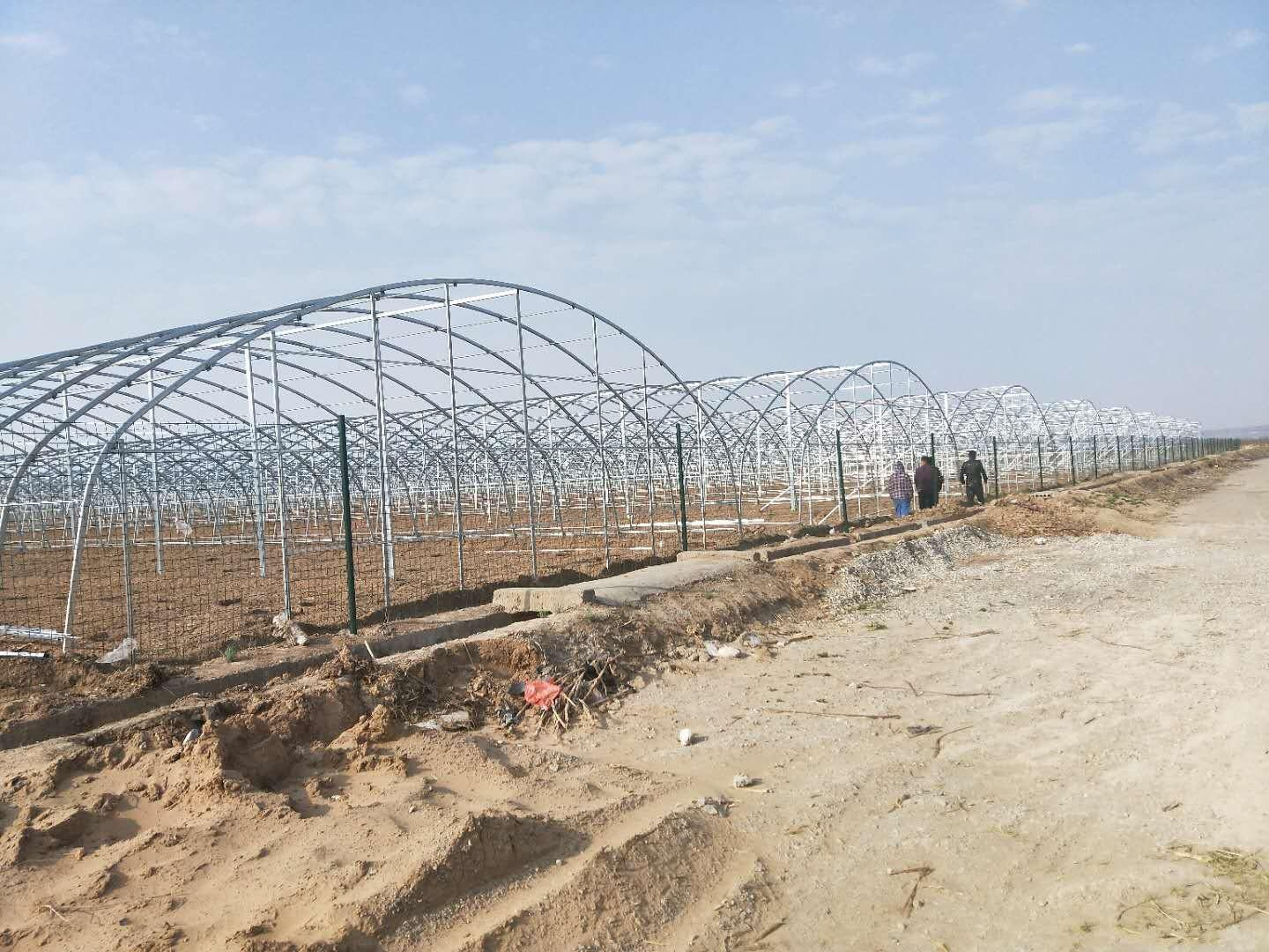 25mx8m Double arch Greenhouse use hemp seed canada for sale