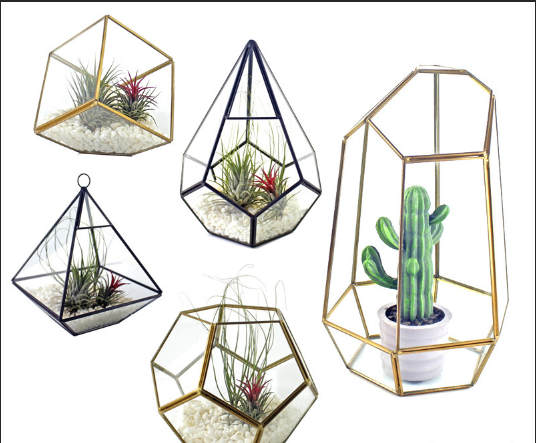TCXW072203 OEM all types handmade geometric glass terrarium for home and wedding decoration