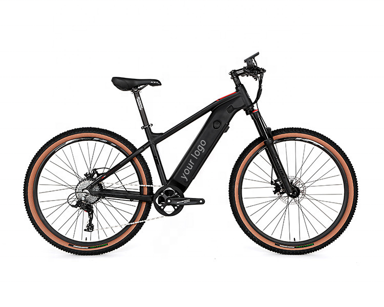 NEW Style E300 electric power variable speed disc brake, lithium battery 48V Hidden adult Mountain Electric Bike Bicycle