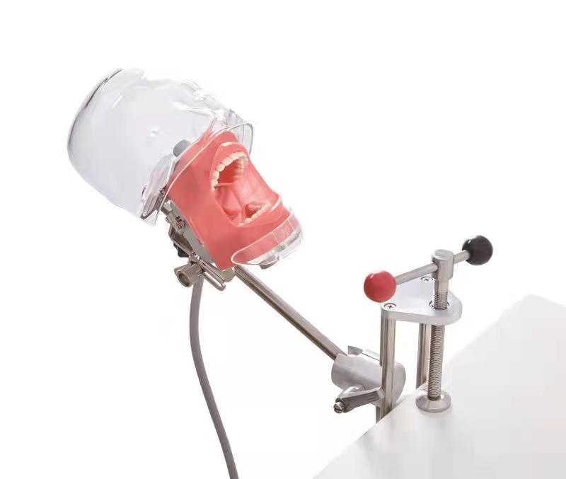 Factory Wholesale Dental Teeth Dentist Teaching Dental Equipment dental simulator teach