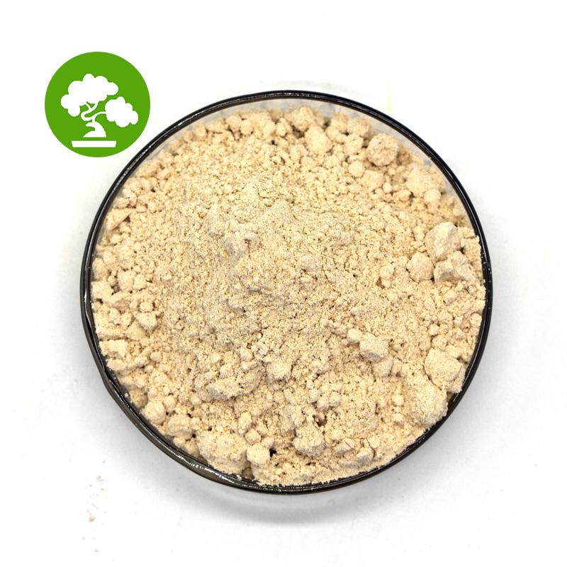 Pure Natural Bitter Orange Peel Extract Hesperidin Powder