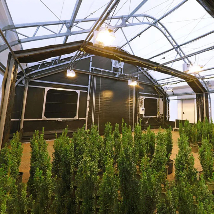 Factory supply high tech black light tomato greenhouse for sale