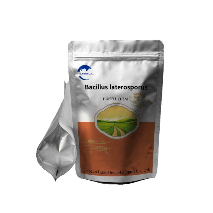 Био-удобрение Bacillus laterosporus azотобактерия