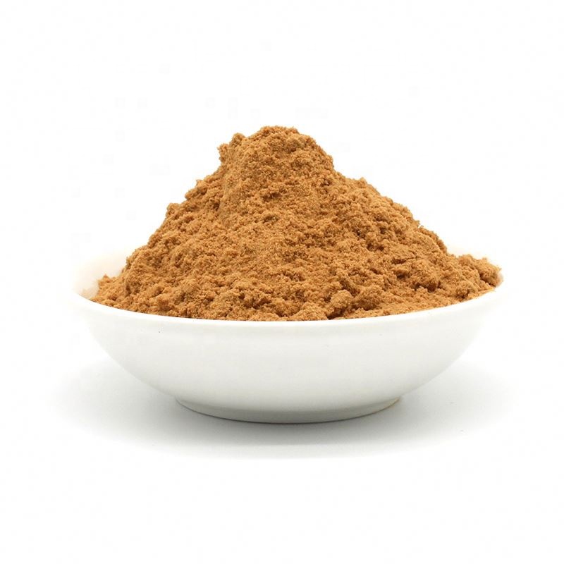 High Quality papaya extract powder Bulk wholesale Papaya Extract Papaya Powder