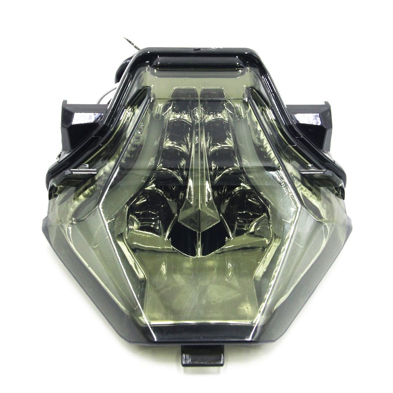 Factory direct motorcycle taillight applies to for R25 series models OEM
