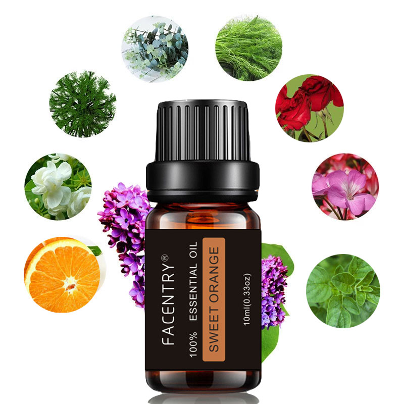 Orange Aromatherapy Essential Oil Outfits 10ml Humidifier Aromatherapy Peppermint Massage Bath Oil for massage
