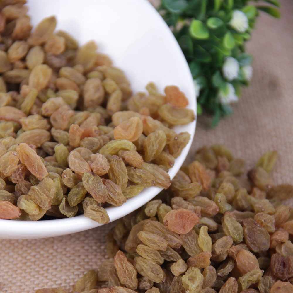 Dry fruits raisins dried grape raisin