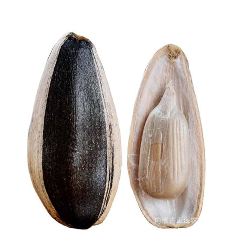 Roasted and salted Sunflower Seeds,factory supplier