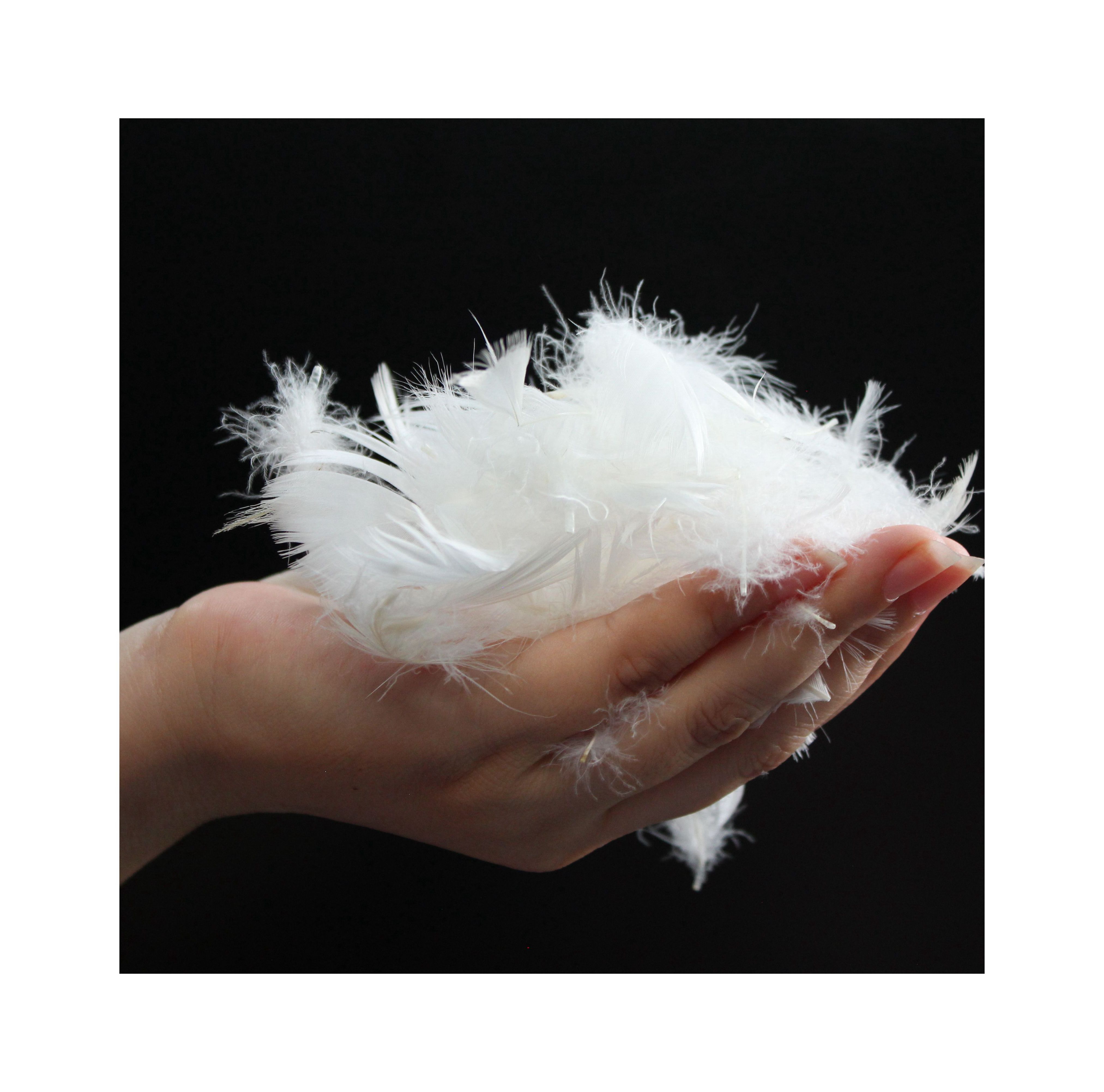 Wholesale Natural Softer 4-6cm High Quality Washed White Goose Feather Sofa Natural Dry Feather
