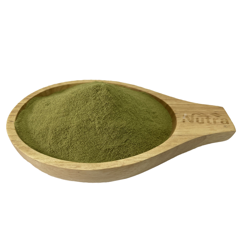 Good Quality 100% Pure Bitter Melon Powder