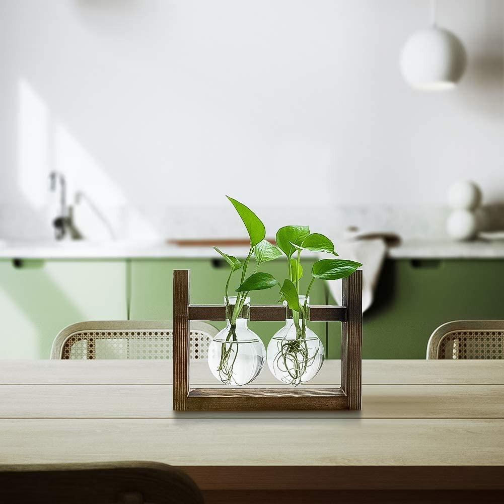 BULB VASE FLOWER Plant Terrarium With Wooden Stand, Air Planter Bulb Glass Vase Retro Tabletop Eco-friendly