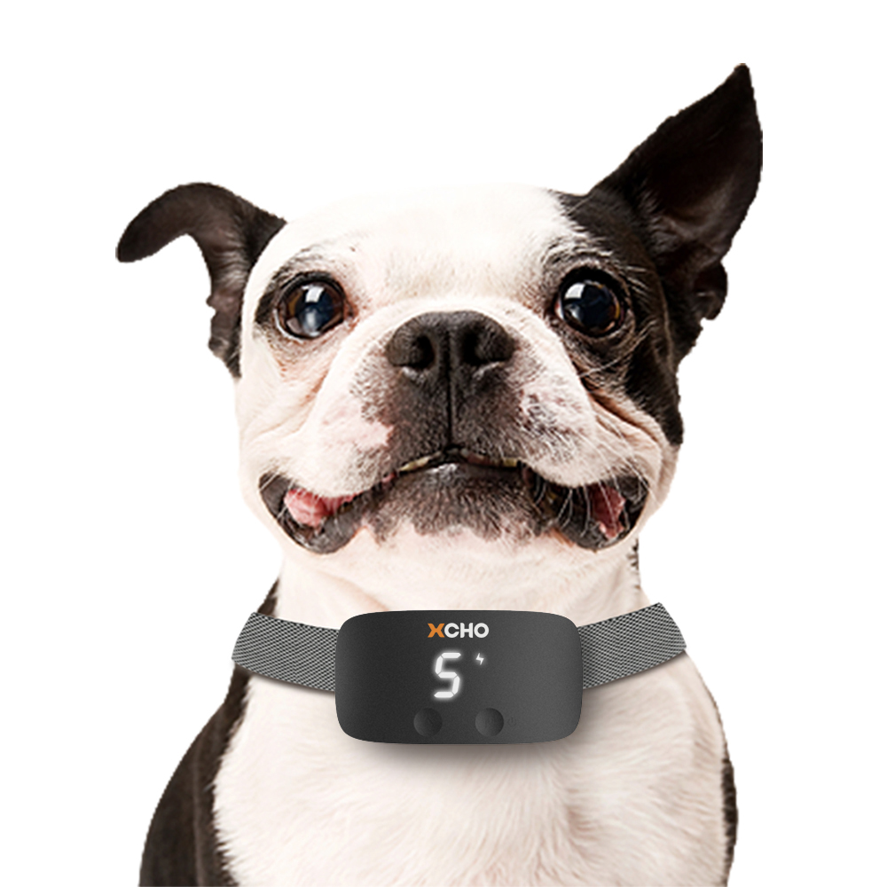 Amazon Top Seller 2021 Rechargeable Battery Vibration Dog No Shock Barking Collar Anti Bark Collar With Intelligent Bark Control