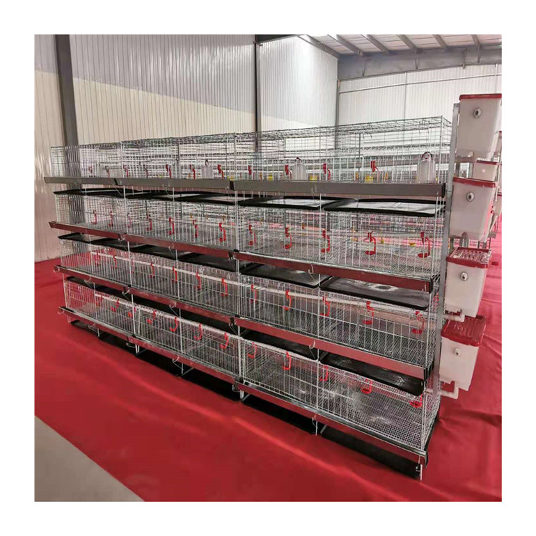 poultry farm baby chick brooder cage day old chicken rearing cage