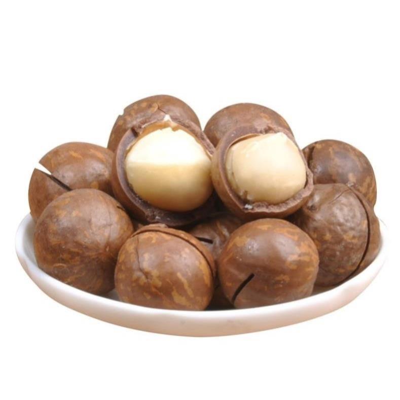Wholesale Macadamia Nuts High Quality Organic Snacks Healthy Food. Oem & Odm Service From Vietnam Manufacturer