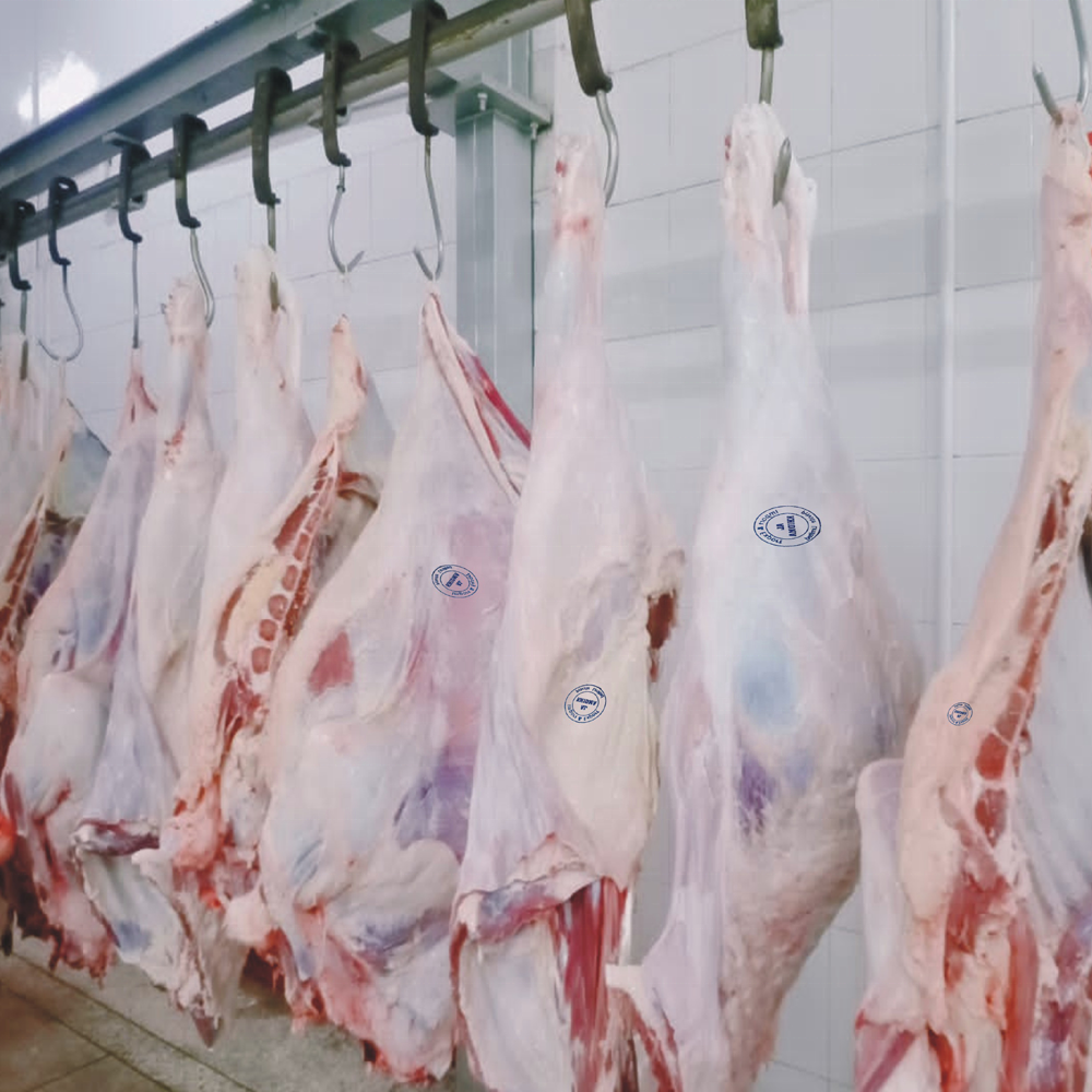 Лучшее качество, натуральное замороженное халяльное мясо говядины